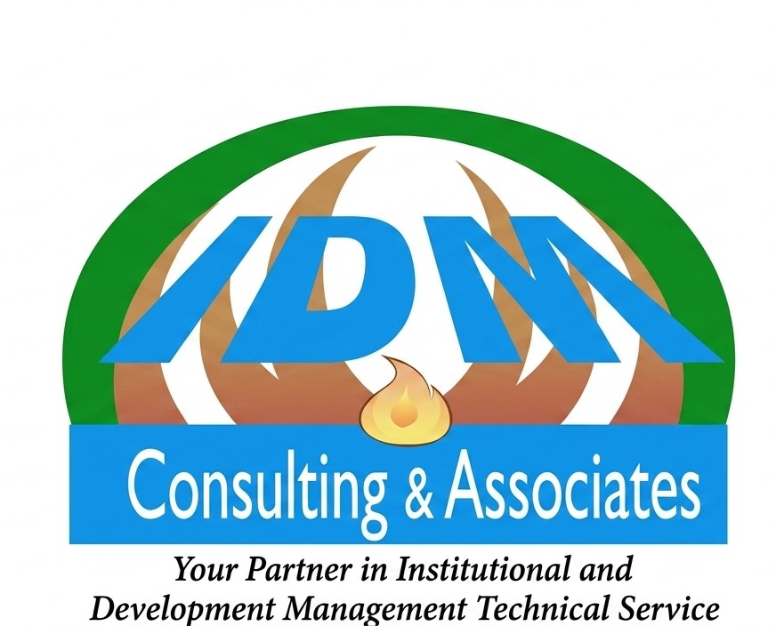 IDM Consulting Logo
